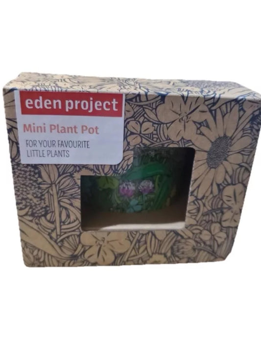 Eden Project Mini Plant Pot