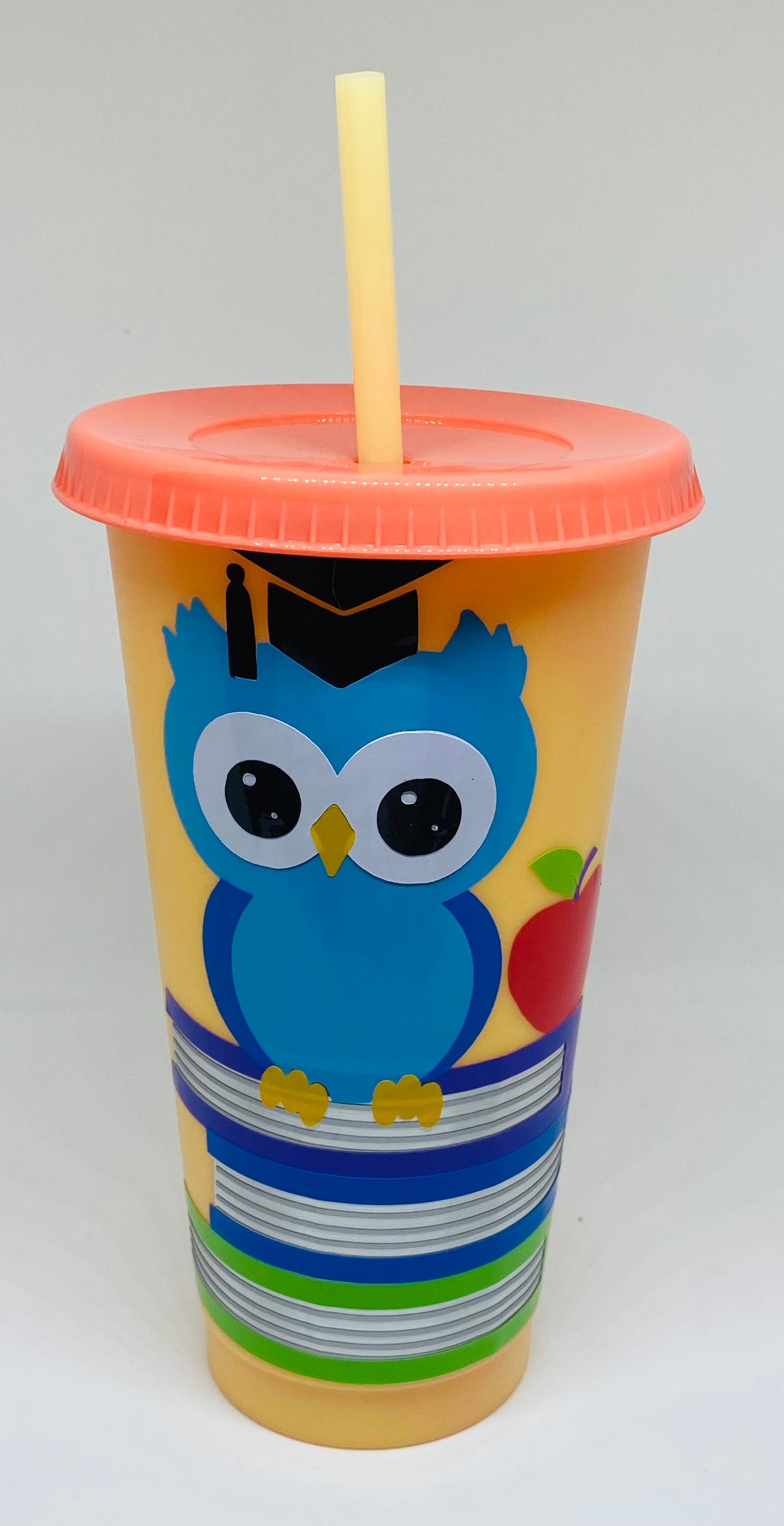 Graduation Owl On Books 24fl Oz color changing Cute tumbler gift idea