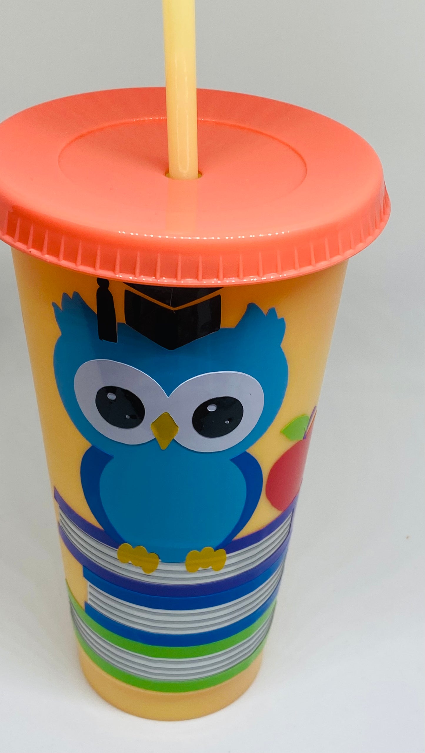 Graduation Owl On Books 24fl Oz color changing Cute tumbler gift idea